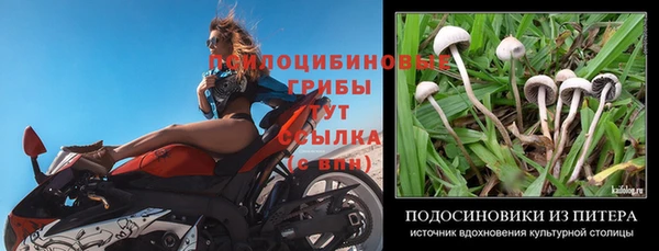 mdpv Лабытнанги