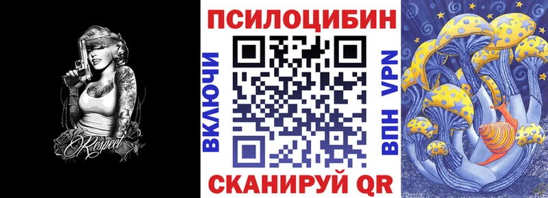 Галлюциногенные грибы Psilocybine cubensis  что такое   Темников 